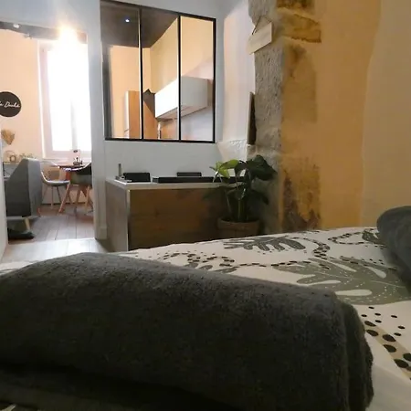 Le Duché - Romantique Avec Balnéo Privative - Centre * Dijon
