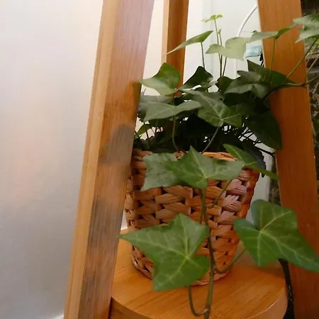 Le Duche - Sejour Romantique Avec Balneo Privative - Centre アパート