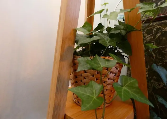 Le Duche - Sejour Romantique Avec Balneo Privative - Centre Apartment